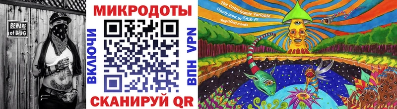 KRAKEN вход хочу наркоту Касли Галлюциногенные грибы Cubensis